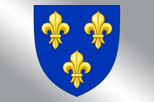 Floarea de crin, un vechi simbol al Franței